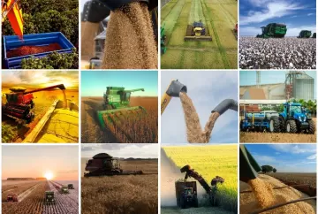 Safra recorde de grãos não elimina insegurança do produtor na tomada de decisões