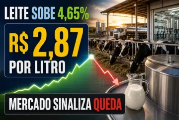 Preço do leite sobe 4,65% e chega a R$ 2,87 por litro, mas mercado sinaliza queda