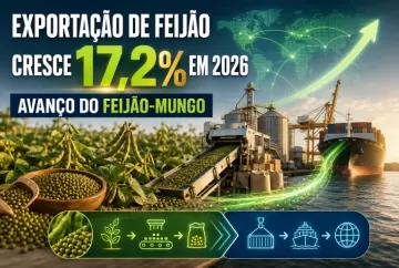 Exportação de feijão cresce 17,2% em 2026, impulsionada pelo avanço do feijão-mungo