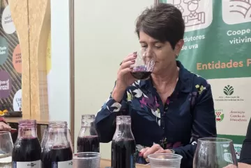 Suco de uva brasileiro ganha destaque internacional e reforça potencial da vitivinicultura nacional