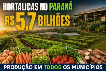 Produção de hortaliças movimenta R$ 5,7 bilhões no Paraná e alcança todos os municípios