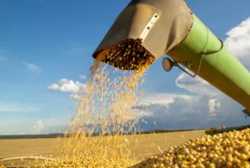 Clima, La Niña e tensões geopolíticas podem impulsionar preços das commodities agrícolas