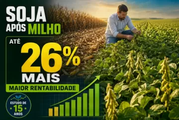 Soja após milho produz até 26% mais e amplia rentabilidade no campo, aponta estudo de 15 anos