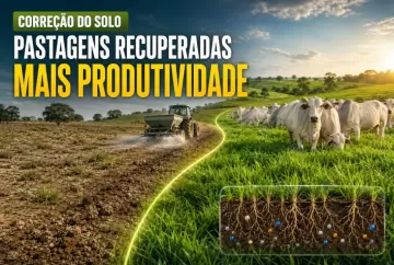 Correção do solo recupera pastagens e aumenta a produtividade da pecuária