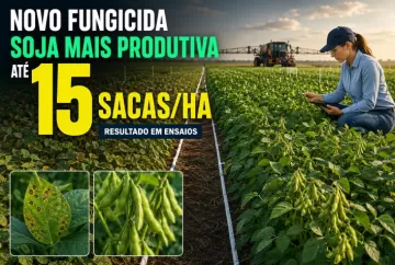 Novo fungicida para soja eleva produtividade em até 15 sacas por hectare em ensaios
