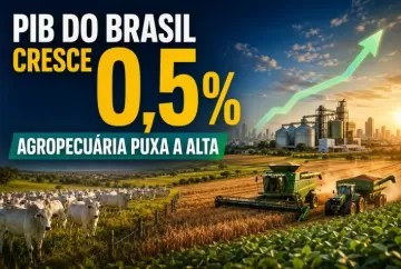 PIB do Brasil cresce 0,5% no segundo trimestre, puxado pela agropecuária