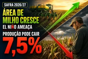Safra 2026/27: área de milho cresce em Mato Grosso, mas El Niño pode derrubar produção em 7,5%