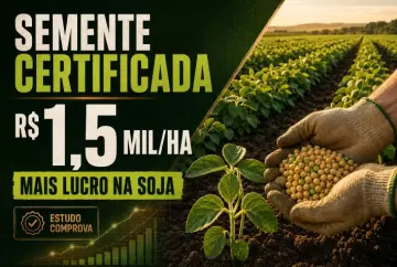 Semente certificada aumenta lucro da soja em R$ 1,5 mil por hectare, aponta estudo