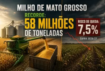 Safra de milho de Mato Grosso bate recorde de 58 milhões de toneladas, mas produção pode cair 7,5% em 2026/27