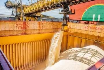 Índia abre nova cota para importar 202,5 mil toneladas de açúcar bruto sem tarifa
