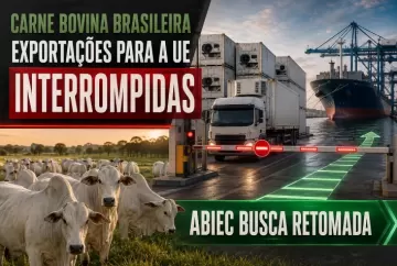 Exportação de carne bovina brasileira para a União Europeia é interrompida e ABIEC busca retomada