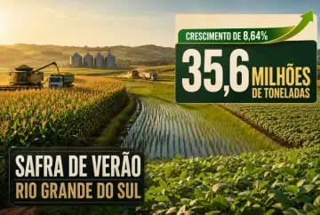 Safra de verão do Rio Grande do Sul deve crescer 8,64% e atingir 35,6 milhões de toneladas