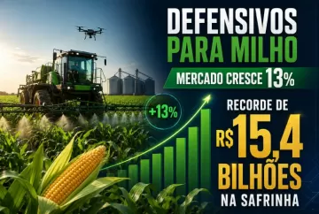 Mercado de defensivos para milho cresce 13% e movimenta recorde de R$ 15,4 bilhões na safrinha