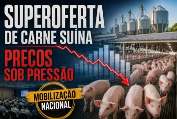 Superoferta de carne suína pressiona preços e leva setor a lançar mobilização nacional