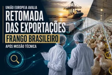 União Europeia avalia retomada das exportações de frango brasileiro após missão técnica