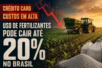 Crédito caro e alta dos custos podem reduzir uso de fertilizantes em até 20% no Brasil