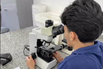 Pesquisa da Unesp usa resíduos de óleos essenciais para combater doenças em frutas