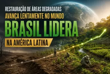 Restauração de áreas degradadas avança lentamente no mundo, enquanto Brasil lidera esforços na América Latina
