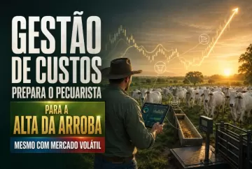 Gestão de custos prepara pecuarista para aproveitar alta da arroba mesmo com mercado volátil