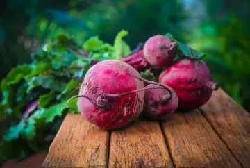 Beterraba ganha valor no campo com avanço do mercado de alimentos funcionais