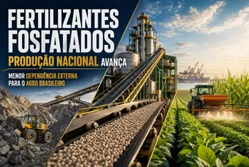 Produção de fertilizantes fosfatados avança e pode reduzir dependência externa do agronegócio brasileiro