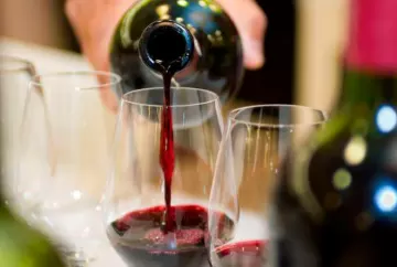 Vinhos brasileiros conquistam 88 medalhas em concurso internacional na Argentina