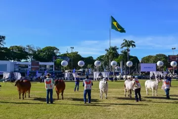 ExpoBrahman 2026 abre inscrições e prepara semana de genética, julgamentos e negócios em Uberaba