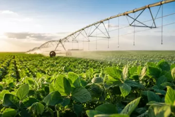 Irrigação amplia produtividade e abre caminho para novas safras no Triângulo Mineiro