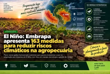 El Niño: Embrapa apresenta 163 medidas para reduzir riscos climáticos na agropecuária