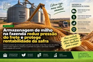 Armazenagem de milho na fazenda reduz pressão do frete e protege rentabilidade da safra
