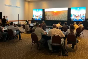 Soja 2026/27 em Mato Grosso do Sul acende alerta para buva, percevejo-marrom e cercospora