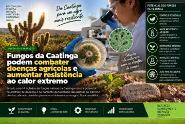 Fungos da Caatinga podem combater doenças agrícolas e aumentar resistência ao calor extremo