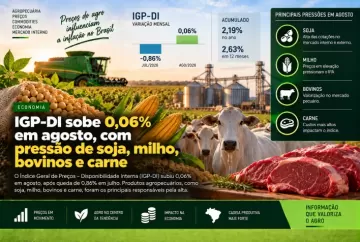 IGP-DI sobe 0,06% em agosto, com pressão de soja, milho, bovinos e carne