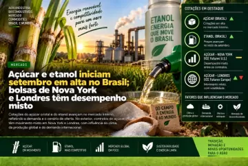 Açúcar e etanol iniciam setembro em alta no Brasil; bolsas de Nova York e Londres têm desempenho misto