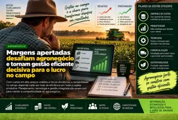 Margens apertadas desafiam agronegócio e tornam gestão eficiente decisiva para o lucro no campo