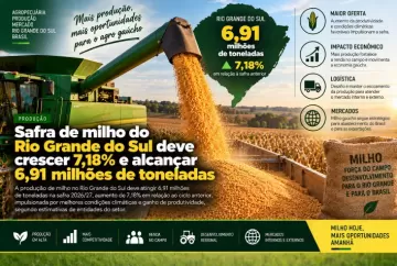 Safra de milho do Rio Grande do Sul deve crescer 7,18% e alcançar 6,91 milhões de toneladas