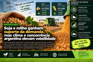 Soja e milho ganham suporte da demanda, mas clima e concorrência argentina elevam volatilidade