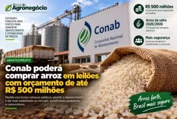 Conab poderá comprar arroz em leilões com orçamento de até R$ 500 milhões