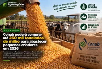 Conab poderá comprar até 260 mil toneladas de milho para abastecer pequenos criadores em 2026