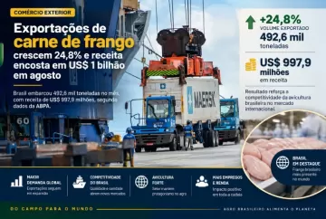 Exportações de carne de frango crescem 24,8% e receita encosta em US$ 1 bilhão em agosto