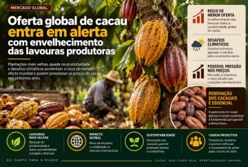 Oferta global de cacau entra em alerta com envelhecimento das lavouras produtoras