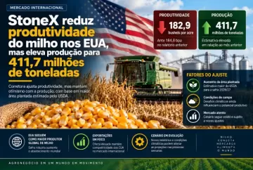 StoneX reduz produtividade do milho nos EUA, mas eleva produção para 411,7 milhões de toneladas