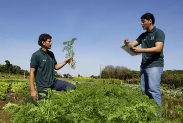 Formação técnica abre portas no agronegócio e leva 9 em cada 10 jovens ao mercado de trabalho em MT