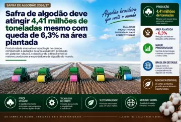 Safra de algodão deve atingir 4,41 milhões de toneladas mesmo com queda de 6,3% na área plantada