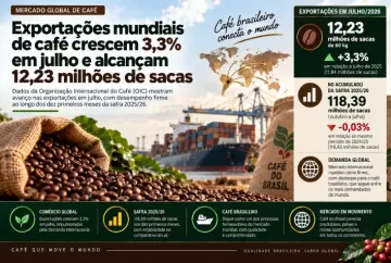 Exportações mundiais de café crescem 3,3% em julho e alcançam 12,23 milhões de sacas