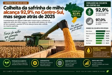 Colheita da safrinha de milho alcança 92,9% no Centro-Sul, mas segue atrás de 2025