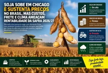 Soja sobe em Chicago e sustenta preços no Brasil, mas custos, frete e clima ameaçam rentabilidade da safra 2026/27