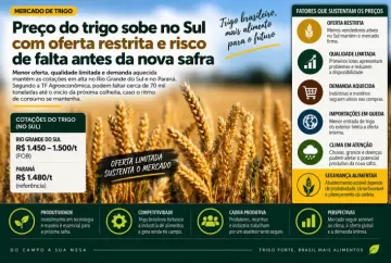 Preço do trigo sobe no Sul com oferta restrita e risco de falta antes da nova safra