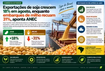 Exportações de soja crescem 18% em agosto, enquanto embarques de milho recuam 31%, aponta ANEC