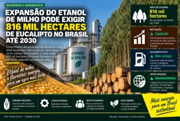 Expansão do etanol de milho pode exigir 816 mil hectares de eucalipto no Brasil até 2030